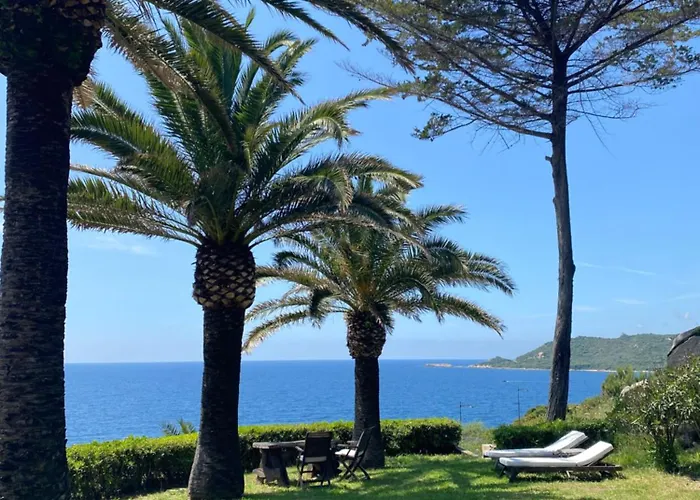 Les Palmiers Guest house *