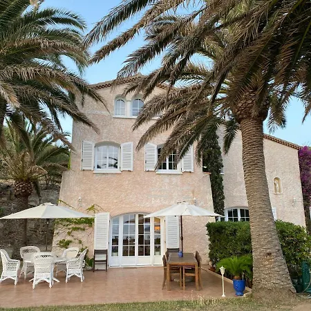 Les Palmiers Guest house *