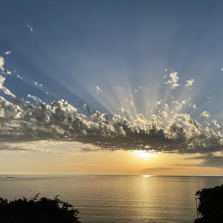 Les Palmiers Penzion *