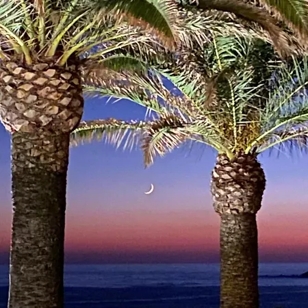 Pensjonat Les Palmiers