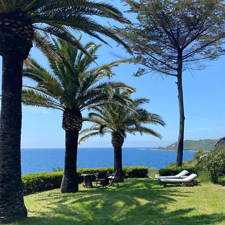 Les Palmiers Pensjonat *