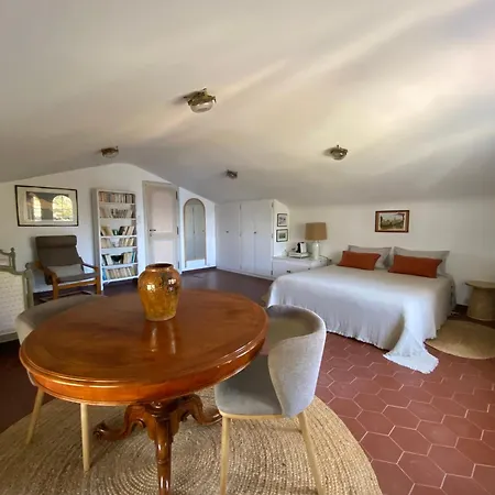 Les Palmiers Pensjonat *