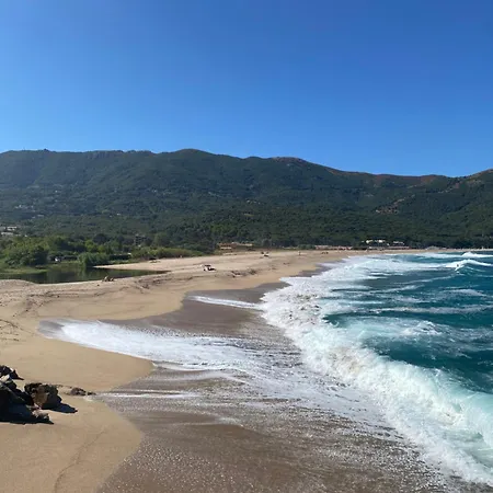 Les Palmiers * Calcatoggio (Corsica)