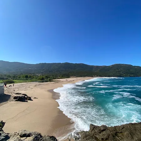 Pensjonat Les Palmiers