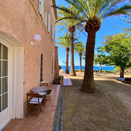 Maison d'hôtes Les Palmiers Calcatoggio (Corsica)