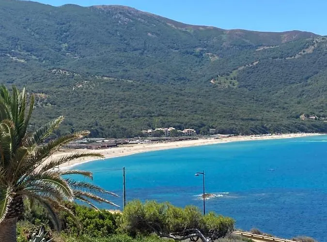 Maison d'hôtes Les Palmiers *