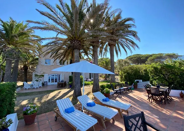 Maison d'hôtes Les Palmiers *