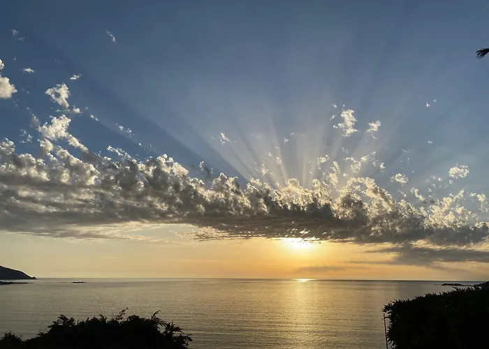 Les Palmiers Maison d'hôtes *