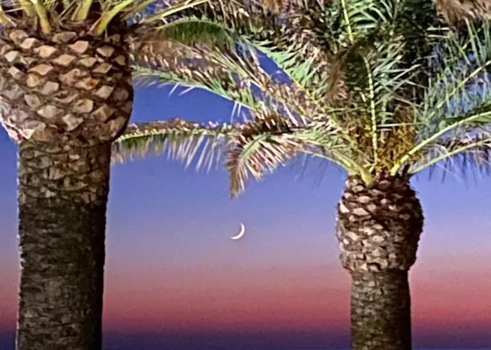 Maison d'hôtes Les Palmiers