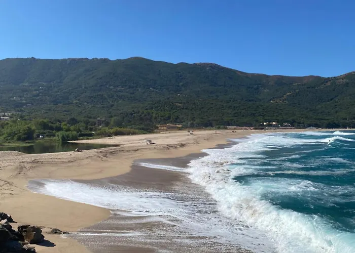 Les Palmiers * Calcatoggio (Corsica)