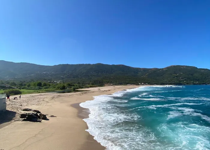 Maison d'hôtes Les Palmiers