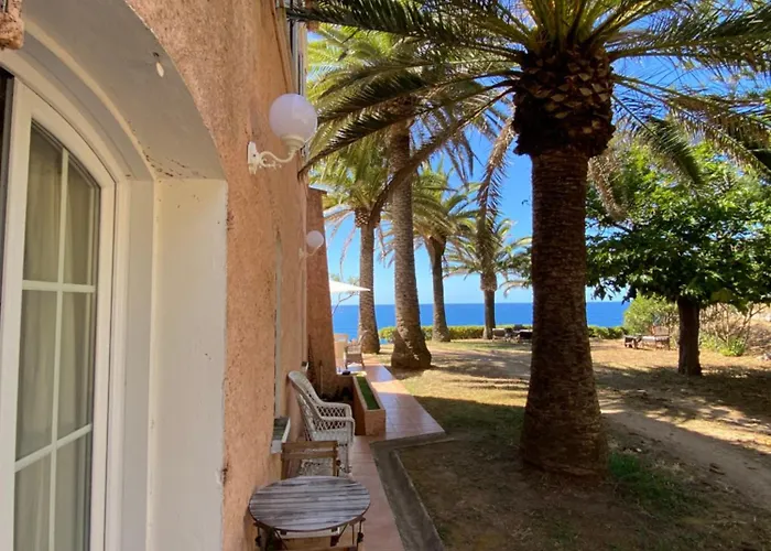 Maison d'hôtes Les Palmiers Calcatoggio (Corsica)